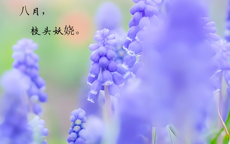 masimo血氧/遠程移動監護天榮醫療-夏將去，秋又來！